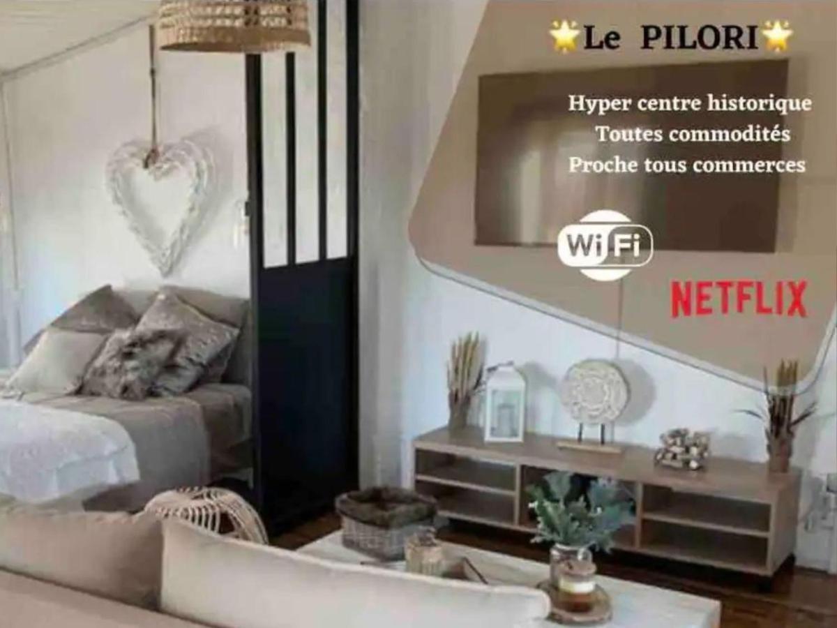 Le Pilori - Centre Historique, En Face Du Musee Du Pilori, A 2Mn A Pied De L'Hyper Centre Et Proche Toutes Commodites, Wifi-Netflix Niort Exterior foto